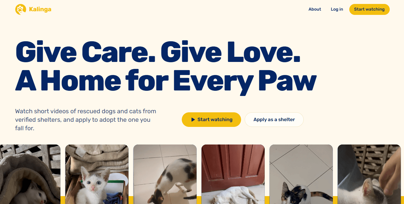 Kalinga landing page with rescued cats and the line Give Care. Give Love. A Home for Every Paw